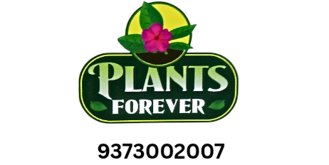 Plants Forever